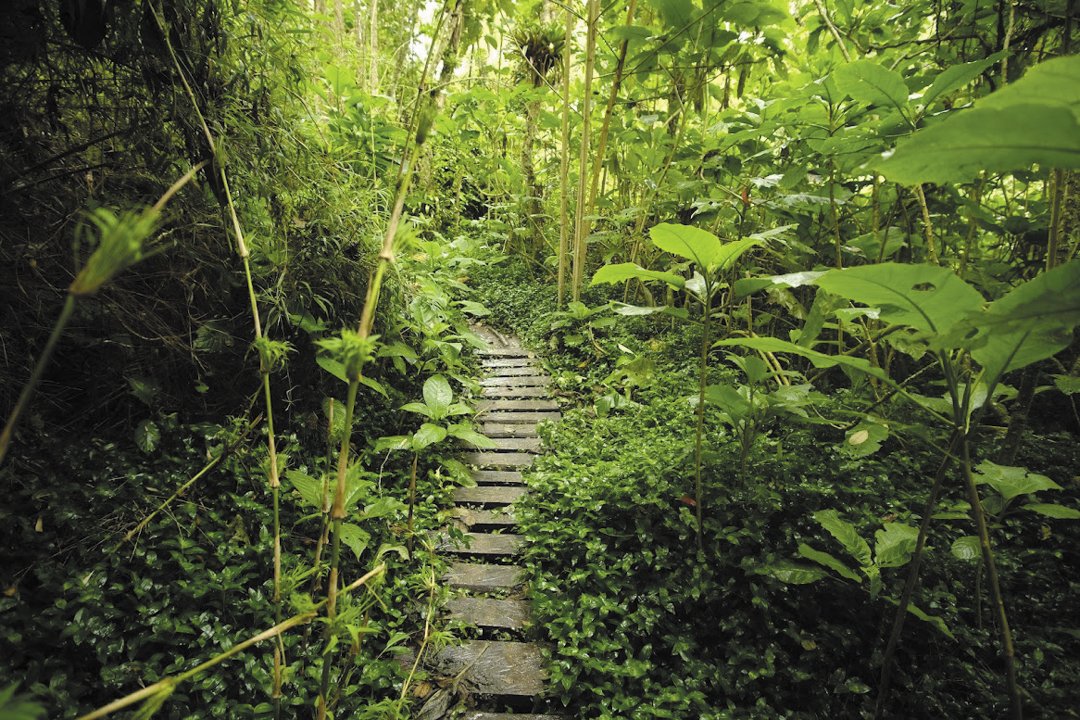 Reserva-El-Turpial-2